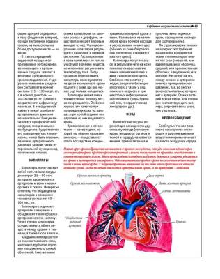 Анатомический атлас. Основы строения и физиологии человека